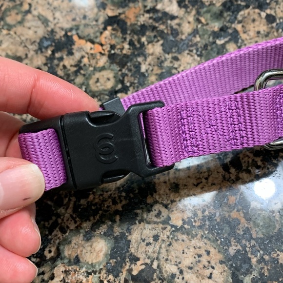 Blueberry Pet Classic Dog Collar, Dark Orchid, Nylon Collars for Dogs - Picture 3 of 7